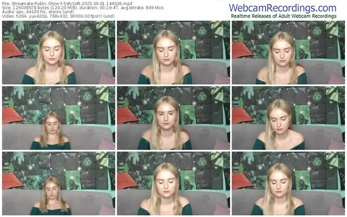 streamate-sofysoft-09-01-2025-14-46-26