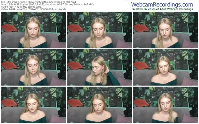 streamate-sofysoft-09-01-2025-17-17-08