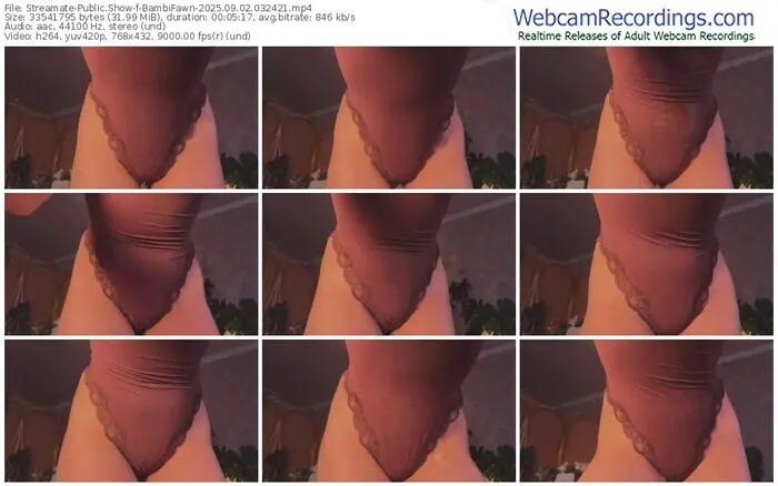 streamate-bambifawn-09-02-2025-03-24-21