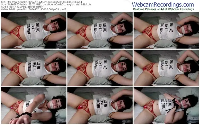 streamate-gaymergeek-09-02-2025-10-06-38