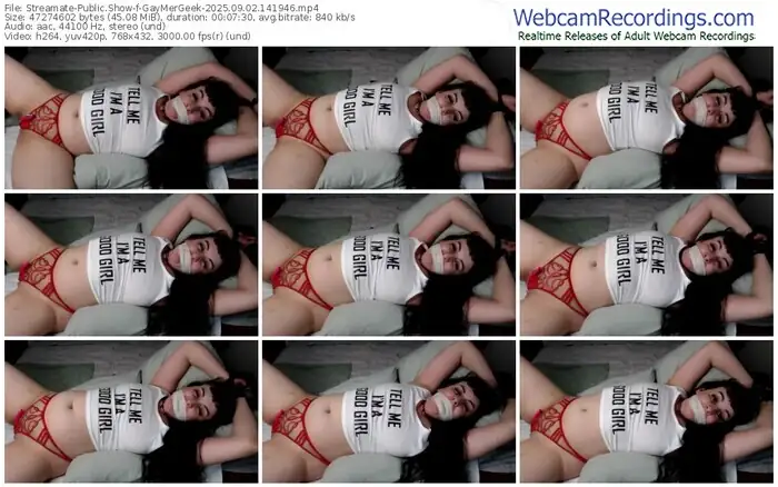 streamate-gaymergeek-09-02-2025-14-19-46