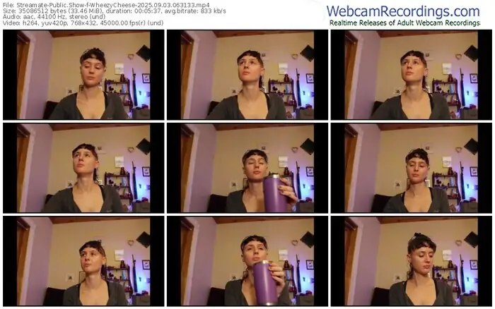 streamate-wheezycheese-09-03-2025-06-31-33