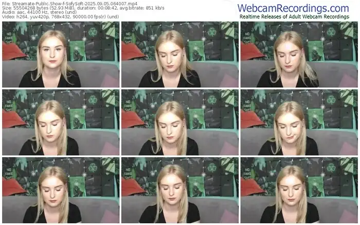 streamate-sofysoft-09-05-2025-06-40-07