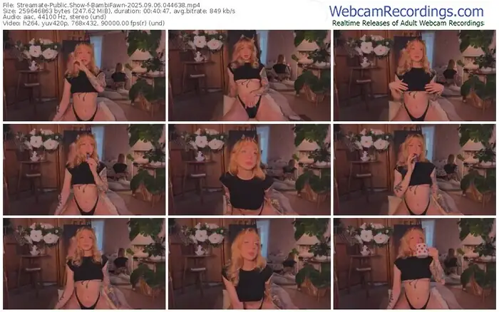 streamate-bambifawn-09-06-2025-04-46-38