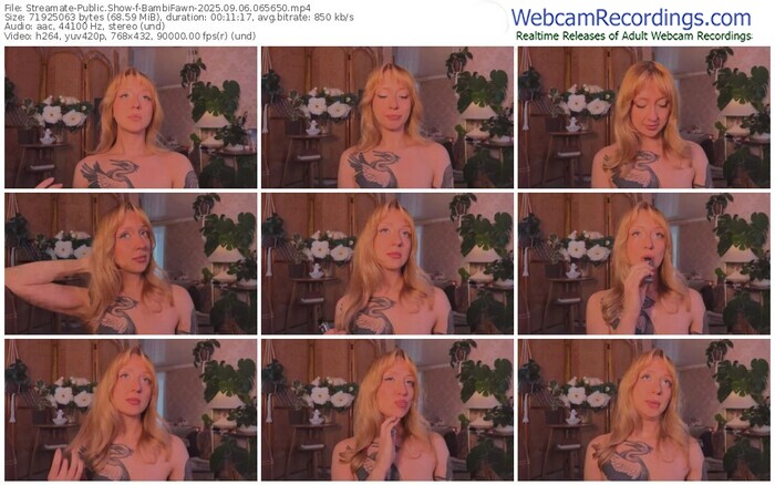 streamate-bambifawn-09-06-2025-06-56-50