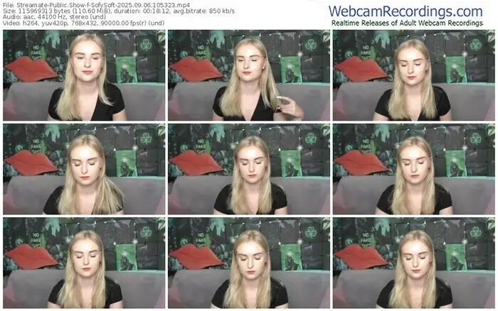 streamate-sofysoft-09-06-2025-10-53-23