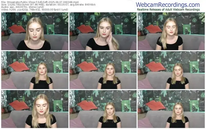 streamate-sofysoft-09-07-2025-06-03-48