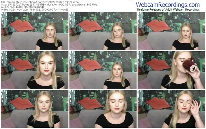 streamate-sofysoft-09-07-2025-10-33-22