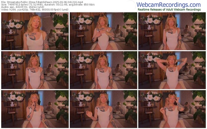 streamate-bambifawn-09-08-2025-04-12-16