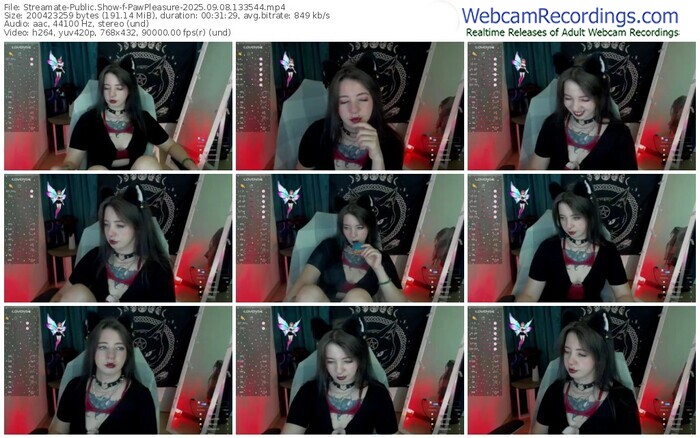 streamate-pawpleasure-09-08-2025-13-35-44