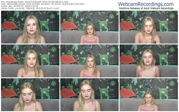 streamate-sofysoft-09-08-2025-08-55-12