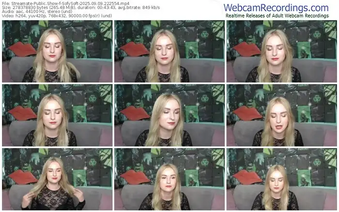 streamate-sofysoft-09-09-2025-22-25-54