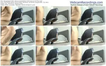 streamate-andybest-09-10-2025-10-27-51