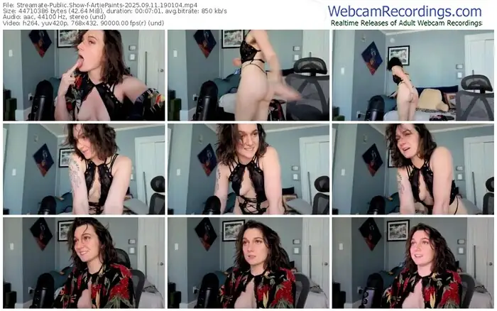 streamate-artiepaints-09-11-2025-19-01-04