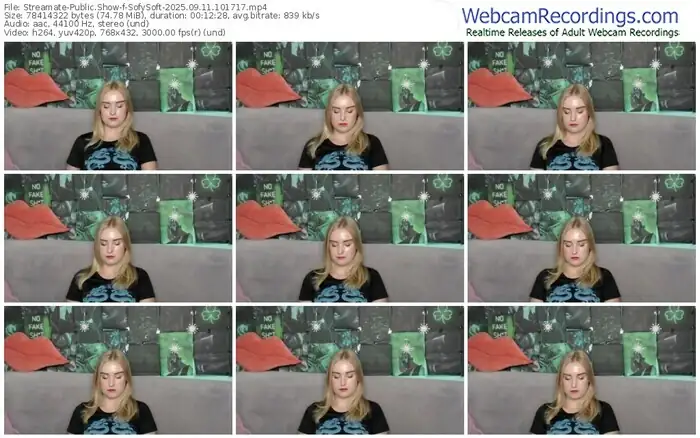 streamate-sofysoft-09-11-2025-10-17-17