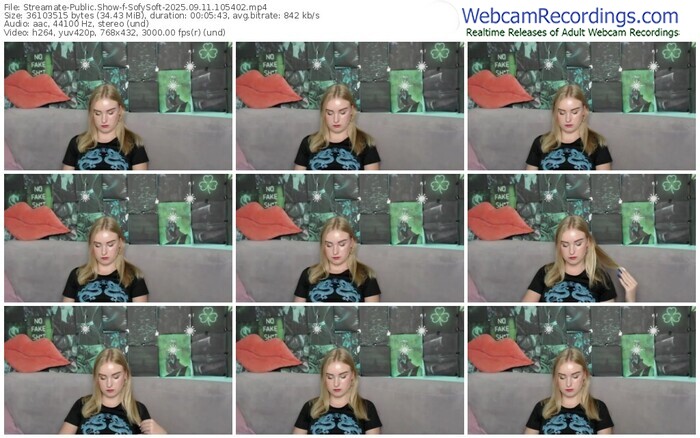 streamate-sofysoft-09-11-2025-10-54-02