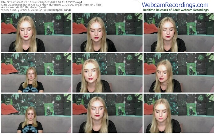 streamate-sofysoft-09-11-2025-13-30-55