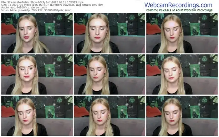 streamate-sofysoft-09-11-2025-15-53-13