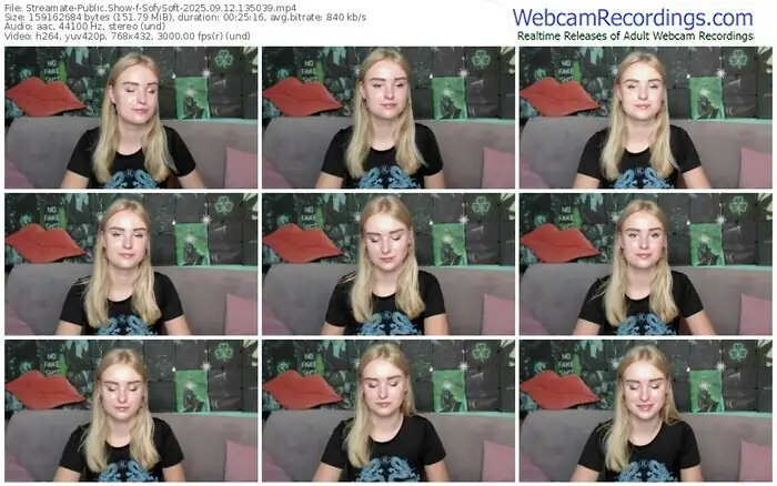 streamate-sofysoft-09-12-2025-13-50-39