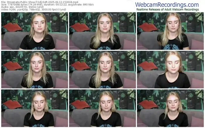 streamate-sofysoft-09-12-2025-15-36-18