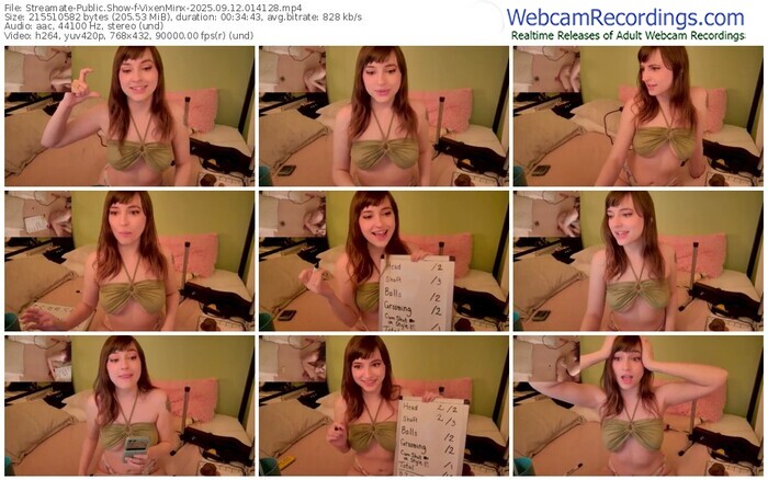 streamate-vixenminx-09-12-2025-01-41-28