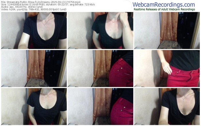streamate-lilydreamy-09-13-2025-17-07-59