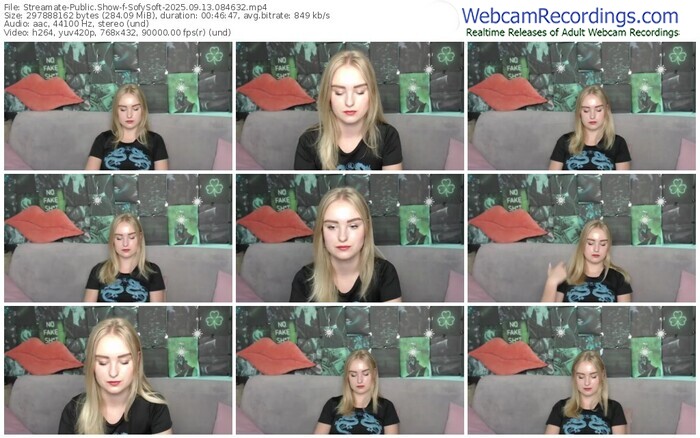 streamate-sofysoft-09-13-2025-08-46-32