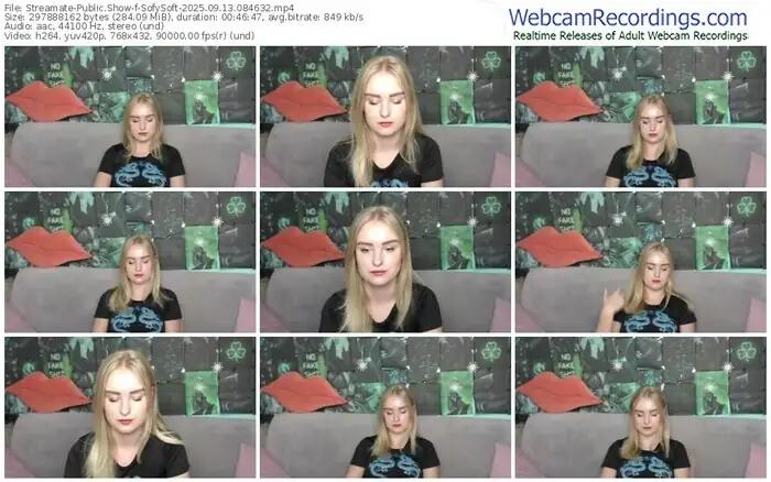 streamate-sofysoft-09-13-2025-08-46-32