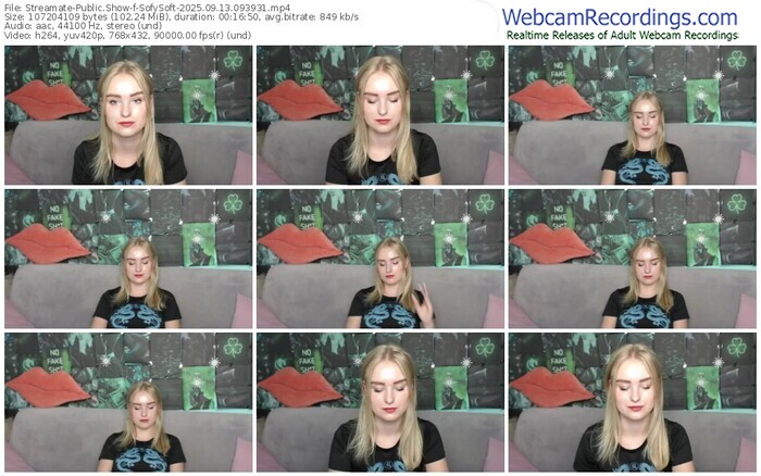 streamate-sofysoft-09-13-2025-09-39-31
