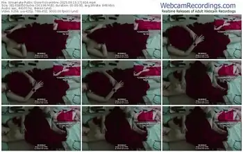 streamate-vixenminx-09-13-2025-17-18-16