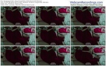 streamate-vixenminx-09-13-2025-18-23-38