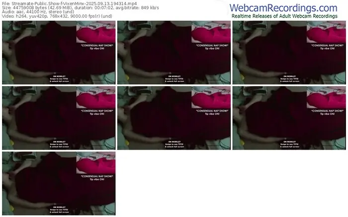 streamate-vixenminx-09-13-2025-19-43-14