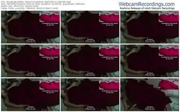 streamate-vixenminx-09-13-2025-20-00-09