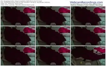 streamate-vixenminx-09-13-2025-21-15-14