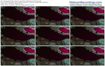 streamate-vixenminx-09-13-2025-22-15-25
