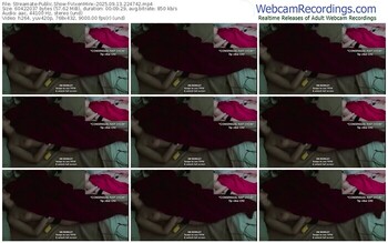 streamate-vixenminx-09-13-2025-22-47-42