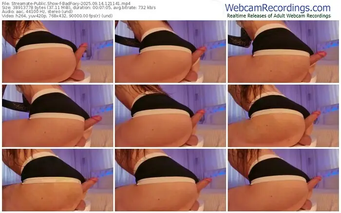 streamate-badfoxy-09-14-2025-12-11-41