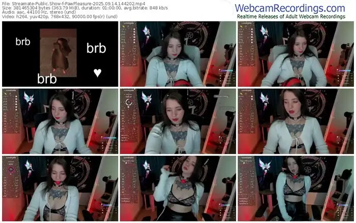streamate-pawpleasure-09-14-2025-14-42-02