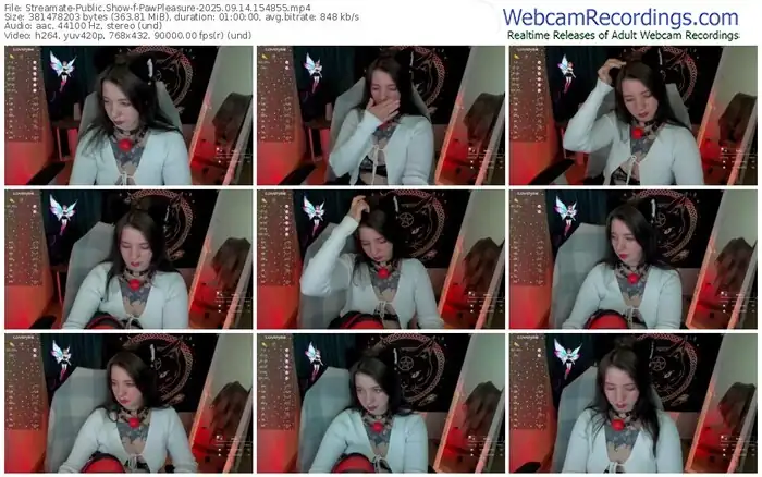 streamate-pawpleasure-09-14-2025-15-48-55