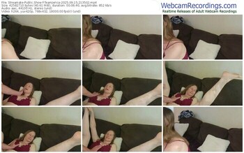 streamate-teamjerica-09-15-2025-21-35-02