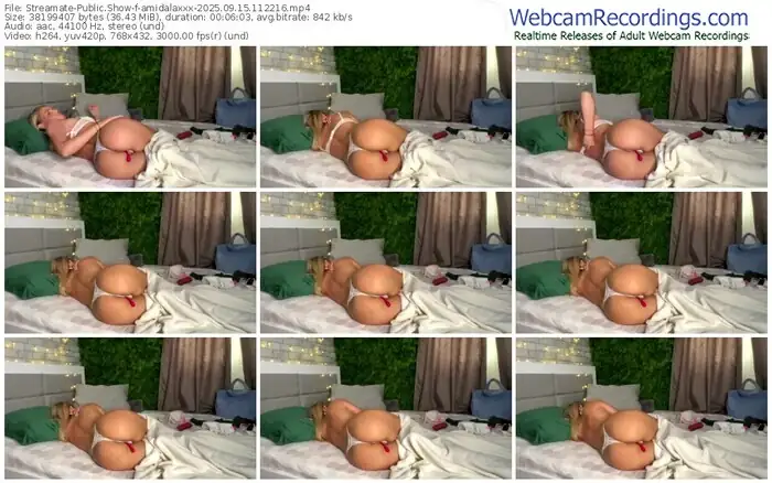 streamate-amidalaxxx-09-15-2025-11-22-16