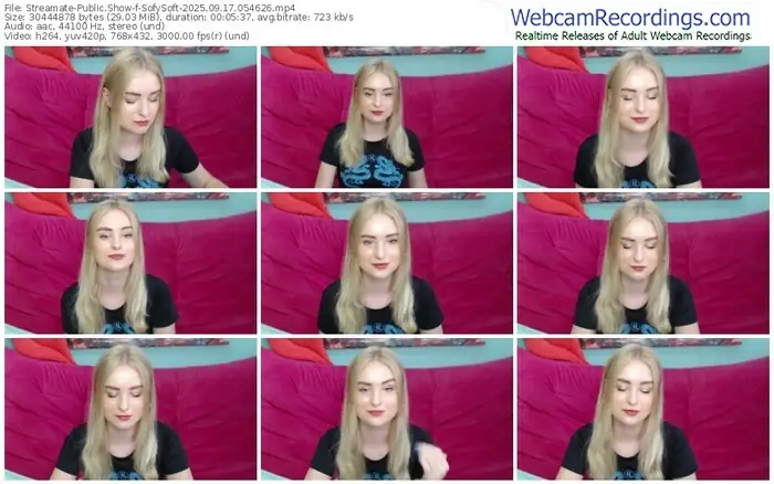 streamate-sofysoft-09-17-2025-05-46-26