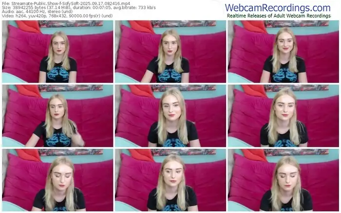 streamate-sofysoft-09-17-2025-08-24-16