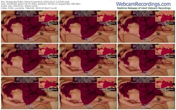 streamate-vixenminx-09-17-2025-12-25-45