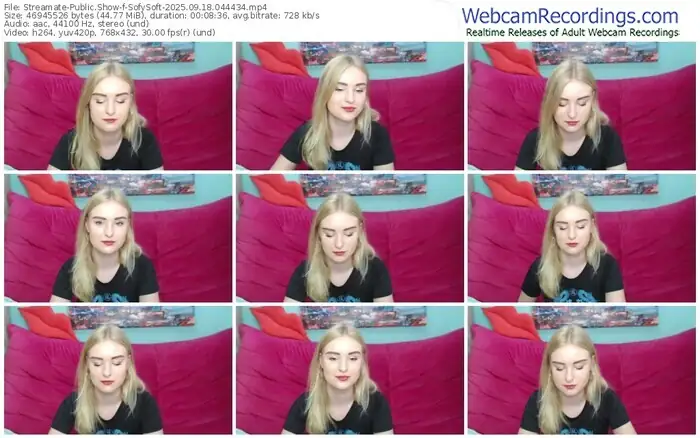 streamate-sofysoft-09-18-2025-04-44-34