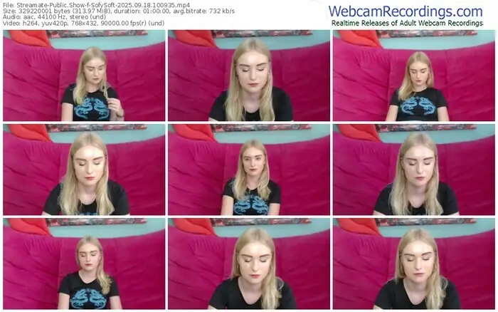 streamate-sofysoft-09-18-2025-10-09-35