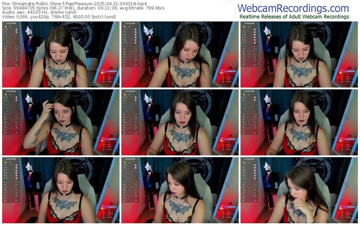 streamate-pawpleasure-09-21-2025-00-43-18