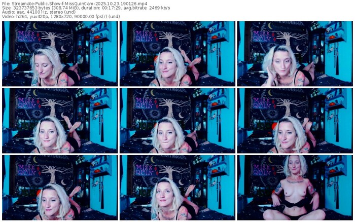 streamate-missquincam-10-23-2025-19-01-26