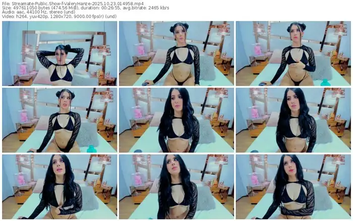 streamate-valeryhanze-10-23-2025-01-49-58