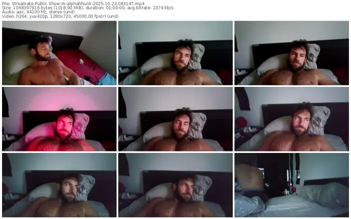 streamate-alphahhunk-10-23-2025-08-31-47